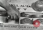 Image of farmlands Netherlands, 1940, second 18 stock footage video 65675063270