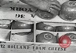 Image of farmlands Netherlands, 1940, second 19 stock footage video 65675063270