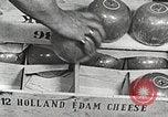 Image of farmlands Netherlands, 1940, second 21 stock footage video 65675063270