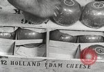 Image of farmlands Netherlands, 1940, second 22 stock footage video 65675063270