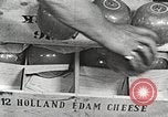 Image of farmlands Netherlands, 1940, second 24 stock footage video 65675063270