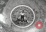 Image of farmlands Netherlands, 1940, second 26 stock footage video 65675063270
