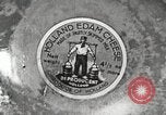 Image of farmlands Netherlands, 1940, second 28 stock footage video 65675063270