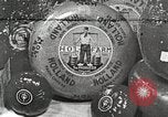 Image of farmlands Netherlands, 1940, second 30 stock footage video 65675063270
