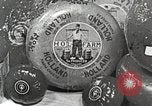 Image of farmlands Netherlands, 1940, second 32 stock footage video 65675063270