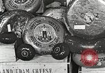 Image of farmlands Netherlands, 1940, second 39 stock footage video 65675063270