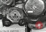 Image of farmlands Netherlands, 1940, second 41 stock footage video 65675063270