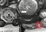 Image of farmlands Netherlands, 1940, second 44 stock footage video 65675063270