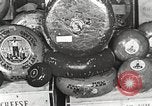 Image of farmlands Netherlands, 1940, second 46 stock footage video 65675063270