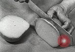 Image of farmlands Netherlands, 1940, second 52 stock footage video 65675063270