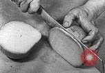 Image of farmlands Netherlands, 1940, second 53 stock footage video 65675063270