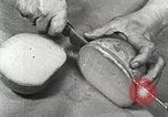 Image of farmlands Netherlands, 1940, second 54 stock footage video 65675063270