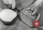Image of farmlands Netherlands, 1940, second 55 stock footage video 65675063270