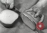 Image of farmlands Netherlands, 1940, second 56 stock footage video 65675063270