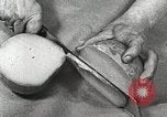 Image of farmlands Netherlands, 1940, second 57 stock footage video 65675063270