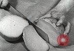 Image of farmlands Netherlands, 1940, second 58 stock footage video 65675063270