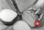 Image of farmlands Netherlands, 1940, second 60 stock footage video 65675063270