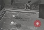 Immagine di Per donna giovane Associazione Cristiana New York United States USA, 1940, secondo 19 filmato di repertorio 65675063289