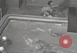 Immagine di Per donna giovane Associazione Cristiana New York United States USA, 1940, secondo 23 filmato di repertorio 65675063289
