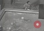 Immagine di Per donna giovane Associazione Cristiana New York United States USA, 1940, secondo 24 filmato di repertorio 65675063289
