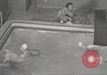 Immagine di Per donna giovane Associazione Cristiana New York United States USA, 1940, secondo 26 filmato di repertorio 65675063289