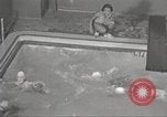 Immagine di Per donna giovane Associazione Cristiana New York United States USA, 1940, secondo 27 filmato di repertorio 65675063289