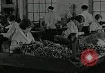 Image of America in World War 1 United States USA, 1918, second 59 stock footage video 65675063340