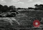 Image of Department of Labor United States USA, 1950, second 1 stock footage video 65675063345