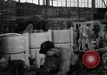 Image of Department of Labor United States USA, 1950, second 30 stock footage video 65675063345