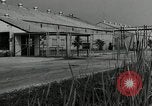 Image of Department of Labor United States USA, 1950, second 39 stock footage video 65675063345