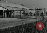 Image of Department of Labor United States USA, 1950, second 40 stock footage video 65675063345