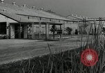 Image of Department of Labor United States USA, 1950, second 41 stock footage video 65675063345