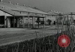Image of Department of Labor United States USA, 1950, second 42 stock footage video 65675063345