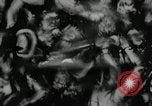 Image of Fear that machinery would displace workers United States USA, 1963, second 18 stock footage video 65675063347