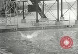 Image 1932 Jeux Olympiques d'été Los Angeles California USA, 1932, de la seconde 32 séquences d'archives historiques vidéo 65675063358