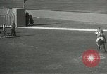 Immagine di Giochi olimpici Los Angeles California USA, 1932, secondo 36 filmato di repertorio 65675063362