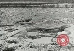 Immagine di I danni da alluvione Kentucky United States USA, 1948, secondo 7 filmato di repertorio 65675063364