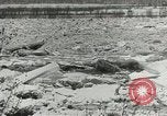 Immagine di I danni da alluvione Kentucky United States USA, 1948, secondo 8 filmato di repertorio 65675063364
