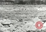 Immagine di I danni da alluvione Kentucky United States USA, 1948, secondo 44 filmato di repertorio 65675063364