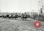 Image of Opening of Deutsches Stadion Berlin Berlin Germany, 1913, second 15 stock footage video 65675063366