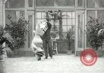 Immagine di Giovane eseguendo danze per la fotocamera Europa, 1913, secondo 54 filmato di repertorio 65675063369