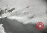 Image of Winter Olympics Canada, 1948, second 12 stock footage video 65675063381