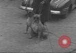 Image of kidnapping of Suzanne Degnan Chicago Illinois USA, 1945, second 13 stock footage video 65675063399