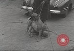 Image of kidnapping of Suzanne Degnan Chicago Illinois USA, 1945, second 14 stock footage video 65675063399