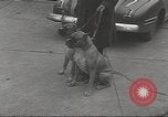 Image of kidnapping of Suzanne Degnan Chicago Illinois USA, 1945, second 15 stock footage video 65675063399