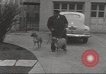 Image of kidnapping of Suzanne Degnan Chicago Illinois USA, 1945, second 26 stock footage video 65675063399