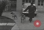 Image of kidnapping of Suzanne Degnan Chicago Illinois USA, 1945, second 27 stock footage video 65675063399