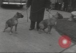 Image of kidnapping of Suzanne Degnan Chicago Illinois USA, 1945, second 28 stock footage video 65675063399