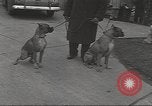 Image of kidnapping of Suzanne Degnan Chicago Illinois USA, 1945, second 29 stock footage video 65675063399