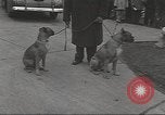 Image of kidnapping of Suzanne Degnan Chicago Illinois USA, 1945, second 30 stock footage video 65675063399